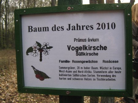 Das-Schild-als-Hinweis-für-den-Baum-des-Jahres-2010