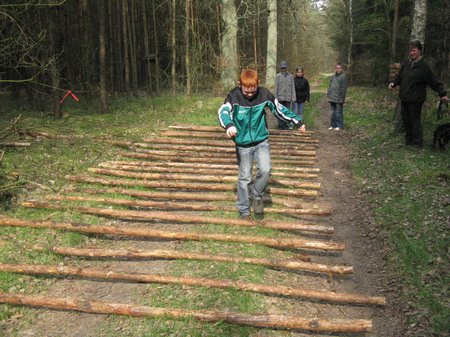 Sportlich-über-Holzstangen