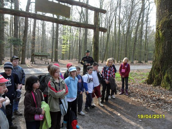 Schüler-Grundschule-Heiligengrabe-pflanzen-Baum-des-Jahres-2011-Elsbeere-am-Naturlernpfad-Heiligengrabe