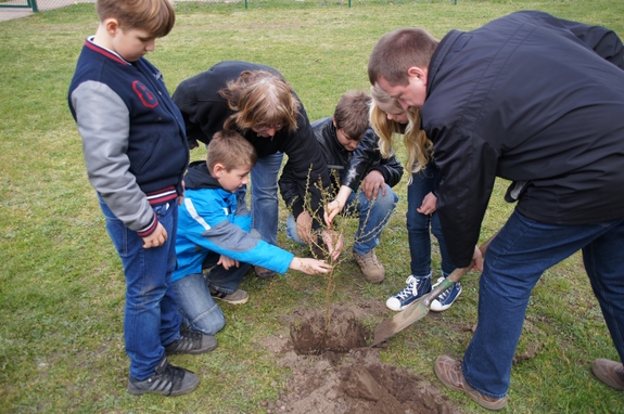 Baum-des-jahres-2012-Europaeische-Laerche-Baumpflanzung-an-Kleiner-Grundschule-Blumenthal-mit-Baumpaten