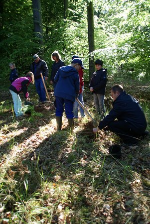 Baum des Jahres 2014 - Traubeneiche - Pflanzung Naturlernpfad Heiligengrabe - 10
